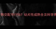 五个月母狗交配可行吗幼犬性成熟全及科学养护指南