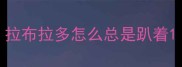 拉布拉多怎么总是趴着