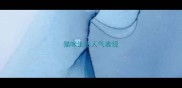 猫咪生主人气表现