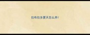 拉布拉多夏天怎么养