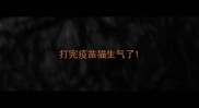 打完疫苗猫生气了