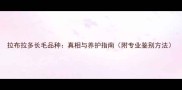 拉布拉多长毛品种真相与养护指南附专业鉴别方法