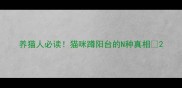 养猫人必读猫咪蹲阳台的N种真相