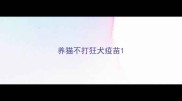 养猫不打狂犬疫苗