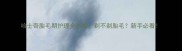 哈士奇胎毛期护理全攻略剃不剃胎毛新手必看