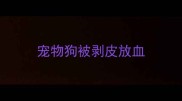 宠物狗被剥皮放血