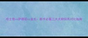 哈士奇vs萨摩耶vs金毛新手必看三大犬种饲养对比指南