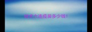 幼犬六连疫苗多少钱