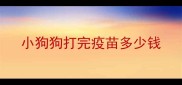 小狗狗打完疫苗多少钱
