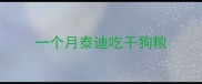 一个月泰迪吃干狗粮