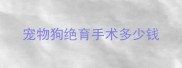 宠物狗绝育手术多少钱