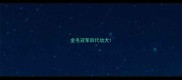 金毛冠军后代幼犬