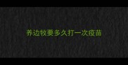 养边牧要多久打一次疫苗