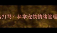 哈士奇为何不适合打骂科学宠物情绪管理与行为矫正指南