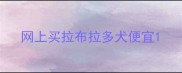 网上买拉布拉多犬便宜