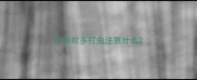 拉布拉多打虫注意什么