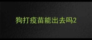 狗打疫苗能出去吗