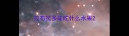 拉布拉多能吃什么水果