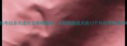 纯拉布拉多犬成长全周期指南从奶狗到成犬的12个月科学养宠攻略