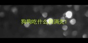 狗狗吃什么药消炎