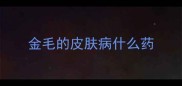 金毛的皮肤病什么药