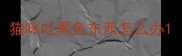 猫咪吐黑色东西怎么办