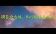哈士奇幼犬3个月喂养全攻略科学喂养指南与成长关键期管理