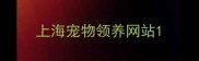 上海宠物领养网站