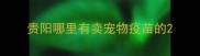贵阳哪里有卖宠物疫苗的