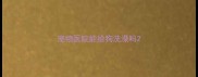 宠物医院能给狗洗澡吗