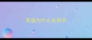 泰迪为什么会假孕