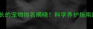 国内10种寿命最长的宠物排名揭晓科学养护指南助你养出长寿宠
