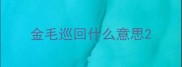 金毛巡回什么意思