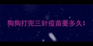 狗狗打完三针疫苗要多久