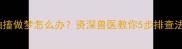 拉布拉多睡觉抽搐做梦怎么办资深兽医教你5步排查法附护理指南
