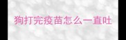 狗打完疫苗怎么一直吐