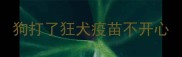 狗打了狂犬疫苗不开心