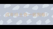 成年哈士奇一顿狗粮