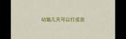 幼猫几天可以打疫苗