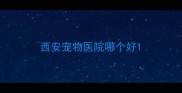 西安宠物医院哪个好