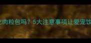 泰迪犬能吃肉粒包吗5大注意事项让爱宠饮食更安全