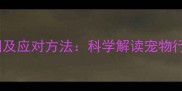 狗狗背毛炸毛的原因及应对方法科学解读宠物行为背后的健康信号