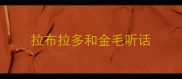 拉布拉多和金毛听话
