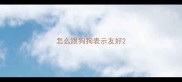 怎么跟狗狗表示友好