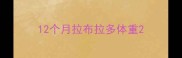12个月拉布拉多体重
