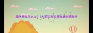 猫咪便血怎么办5大常见原因及家庭处理指南
