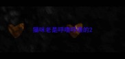 猫咪老是呼噜呼噜的