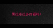黑拉布拉多好看吗
