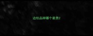 边牧品种哪个最贵