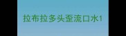 拉布拉多头歪流口水